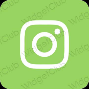 រូបតំណាងកម្មវិធី Instagram សោភ័ណភាព