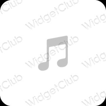 Esthetische Apple Music app-pictogrammen