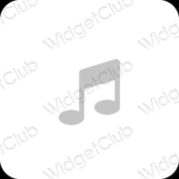 Esthetische Apple Music app-pictogrammen