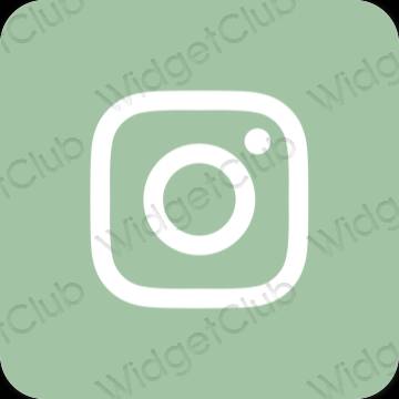 Icônes d'application Instagram esthétiques