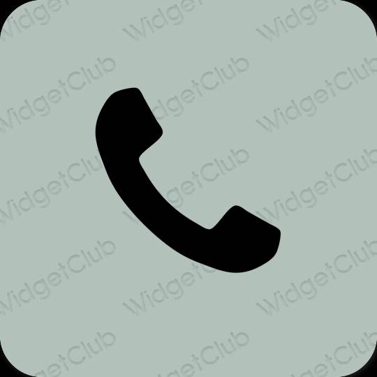 Thẩm mỹ màu xanh lá Phone biểu tượng ứng dụng