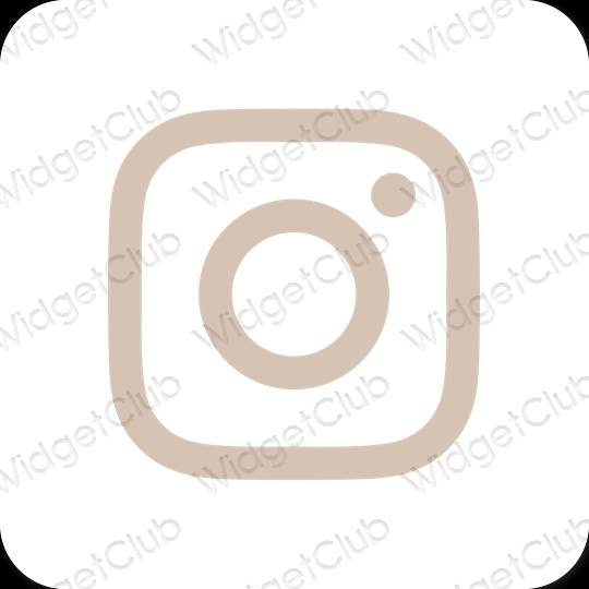 Biểu tượng ứng dụng Instagram thẩm mỹ