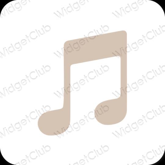 Esthetische Apple Music app-pictogrammen