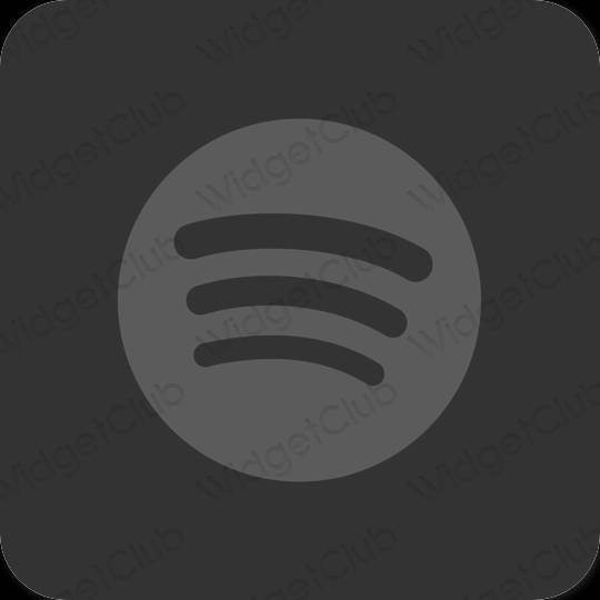 Esthetische Spotify app-pictogrammen