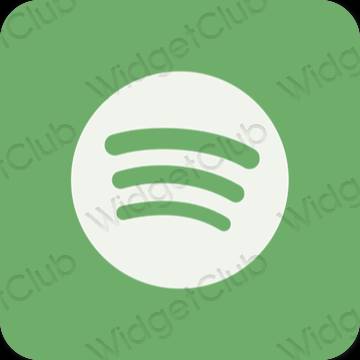 Esthetische Spotify app-pictogrammen