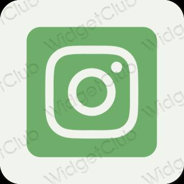 Æstetiske Instagram app-ikoner