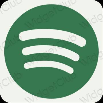 Biểu tượng ứng dụng Spotify thẩm mỹ