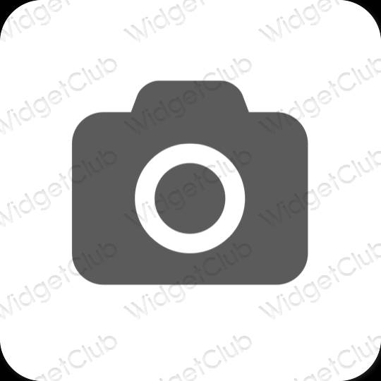 Aesthetic gray Camera app icons