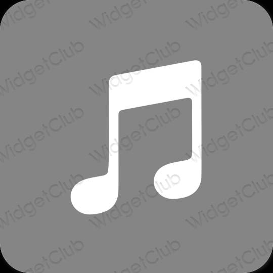 Esthetische Apple Music app-pictogrammen