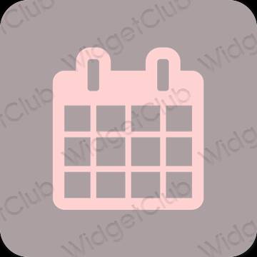 Естетичні Calendar значки програм