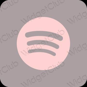 Icônes d'application Spotify esthétiques