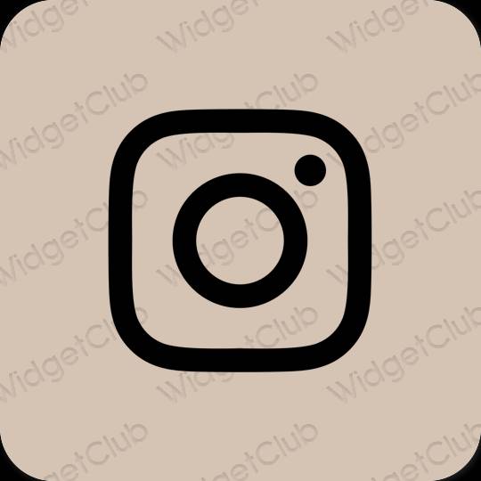 Estetyka beżowy Instagram ikony aplikacji