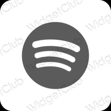 Esthetische Spotify app-pictogrammen