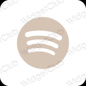 Esthetische Spotify app-pictogrammen