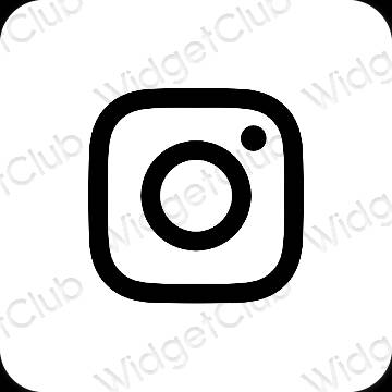 Esthetische Instagram app-pictogrammen