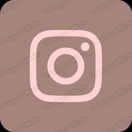 미적인 갈색 Instagram 앱 아이콘