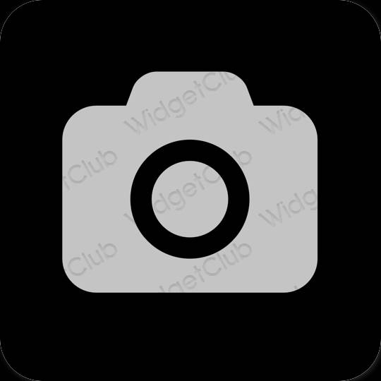 Estetik kelabu Camera ikon aplikasi