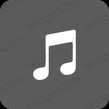Estética Apple Music iconos de aplicaciones
