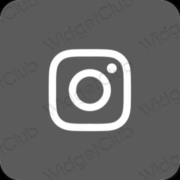 Естетске Instagram иконе апликација