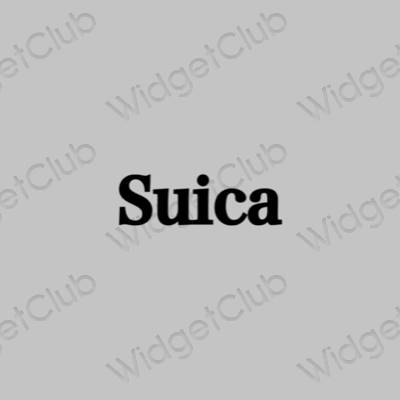Ესთეტიური ნაცრისფერი Suica აპლიკაციის ხატები