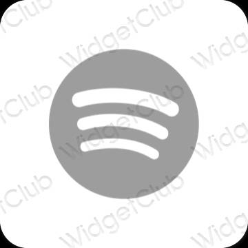 Esthetische Spotify app-pictogrammen