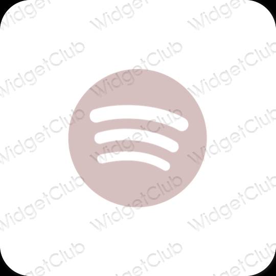 Esthetische Spotify app-pictogrammen