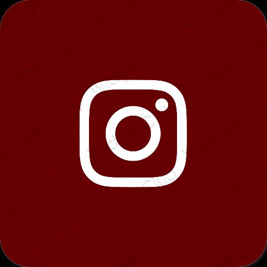 Estetic maro Instagram pictogramele aplicației