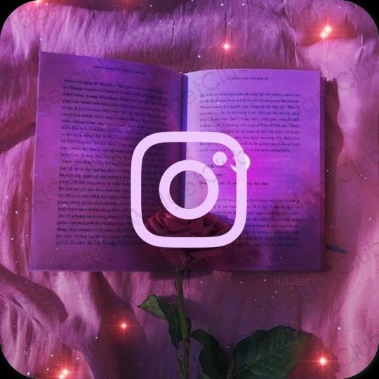 រូបតំណាងកម្មវិធី Instagram សោភ័ណភាព