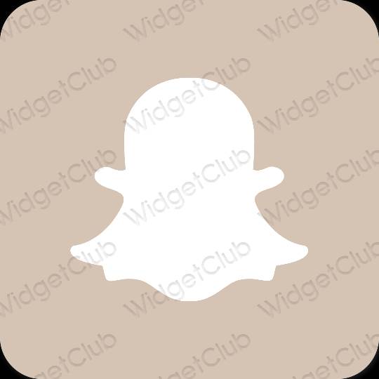 Aesthetic beige snapchat app icons