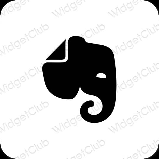 Aesthetic Evernote app icons