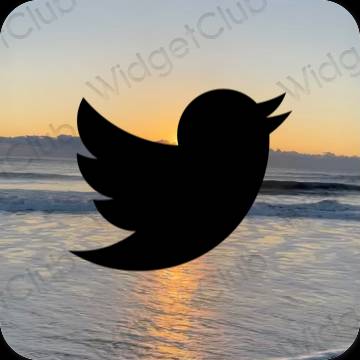 Estetické ikony aplikací Twitter