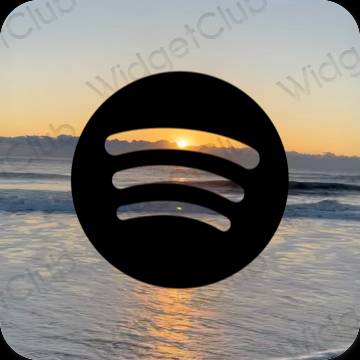 រូបតំណាងកម្មវិធី Spotify សោភ័ណភាព