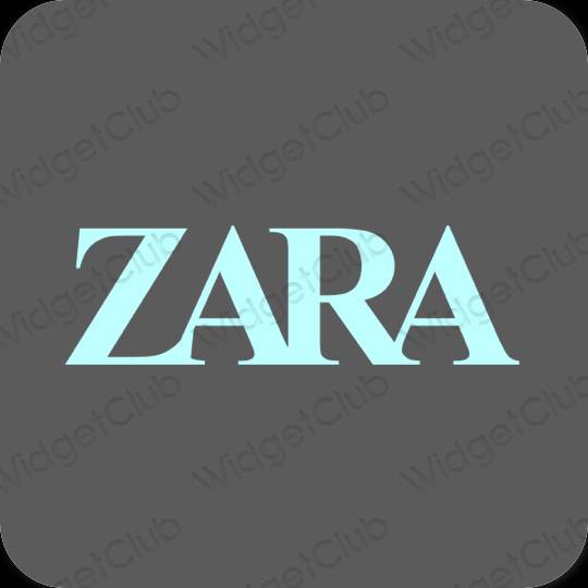 Estetic gri ZARA pictogramele aplicației