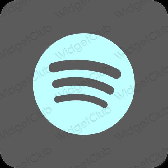 Estetické sivá Spotify ikony aplikácií