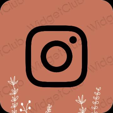 រូបតំណាងកម្មវិធី Instagram សោភ័ណភាព