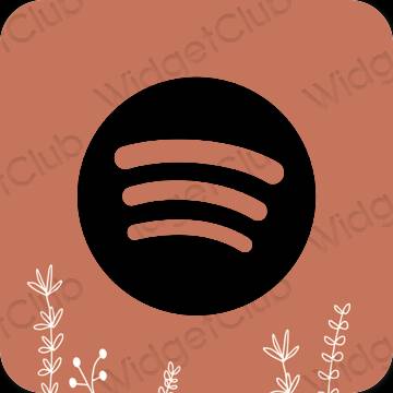 Естетске Spotify иконе апликација