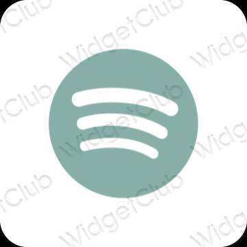 Icônes d'application Spotify esthétiques