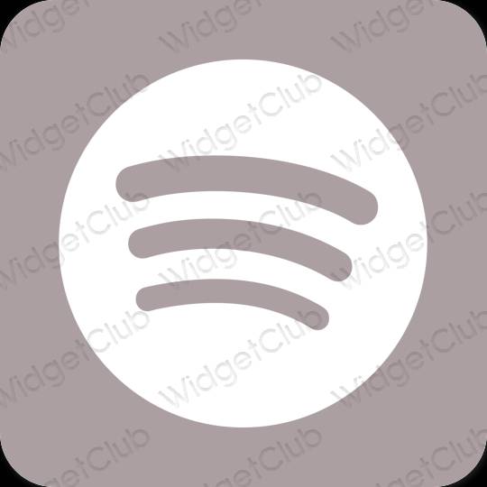 Esthetische Spotify app-pictogrammen