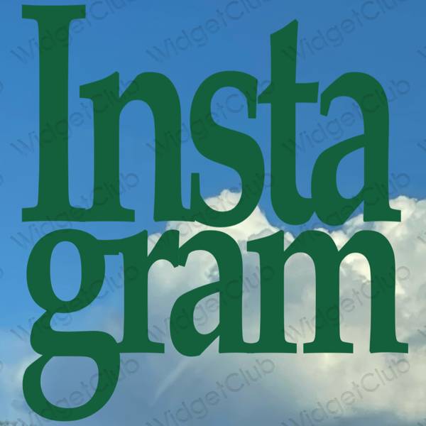 Pictograme pentru aplicații Instagram estetice