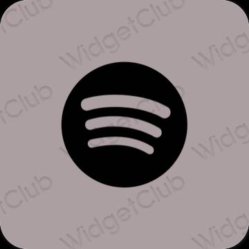 Icônes d'application Spotify esthétiques