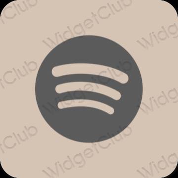 Aesthetic Spotify app icons