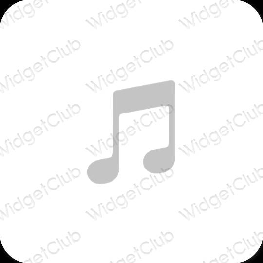 Esthetische Apple Music app-pictogrammen