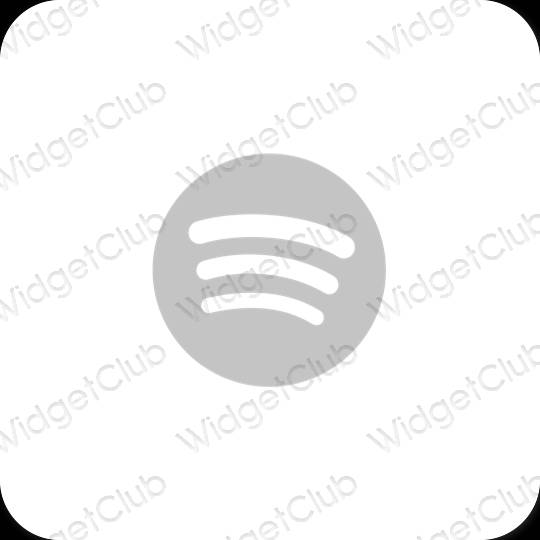 Esthetische Spotify app-pictogrammen