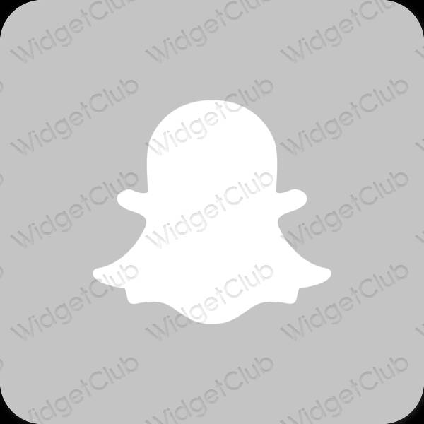 審美的 灰色的 snapchat 應用程序圖標