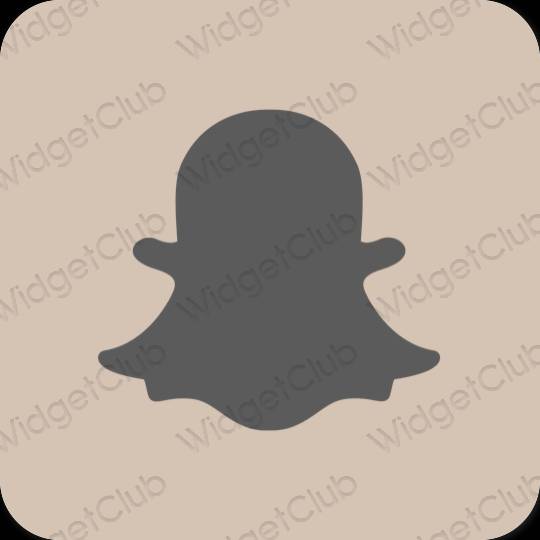 Estetico beige snapchat icone dell'app