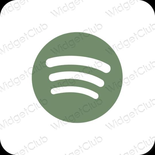 Estética Spotify iconos de aplicaciones