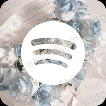 Ästhetische Spotify App-Symbole