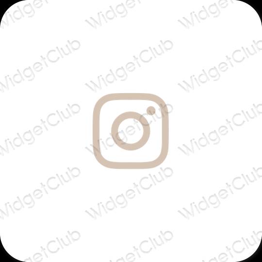 រូបតំណាងកម្មវិធី Instagram សោភ័ណភាព
