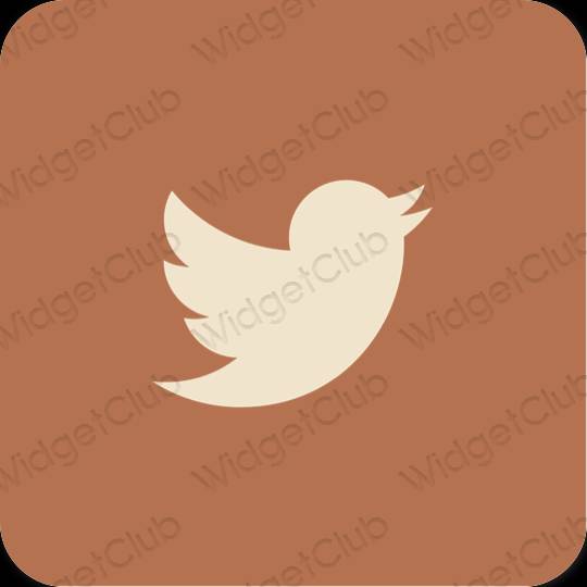 Aesthetic Twitter app icons