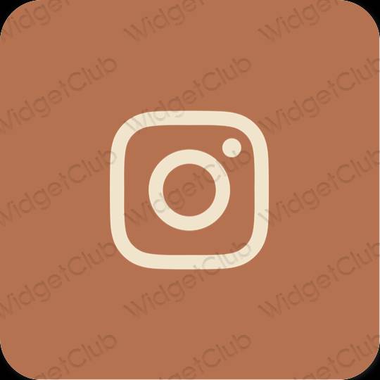 រូបតំណាងកម្មវិធី Instagram សោភ័ណភាព
